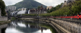 L’abattage des platanes du quai Veil Picard commencera demain (mis à jour)
